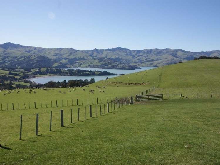 175 Barrys Bay Valley Road Duvauchelle_15