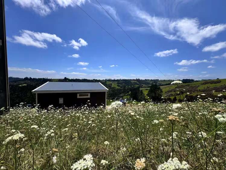 Address withheld Kawakawa_6