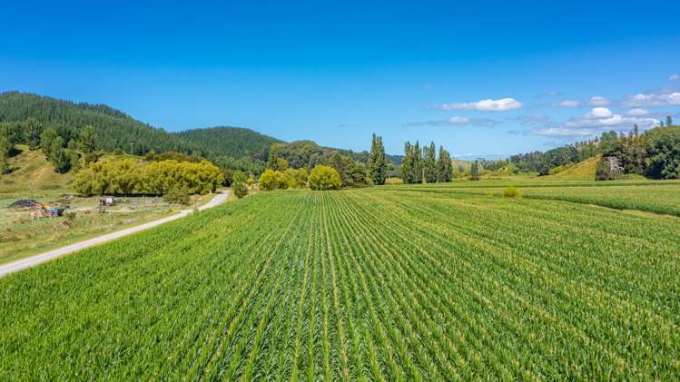 532 Waiatai Road Wairoa_1