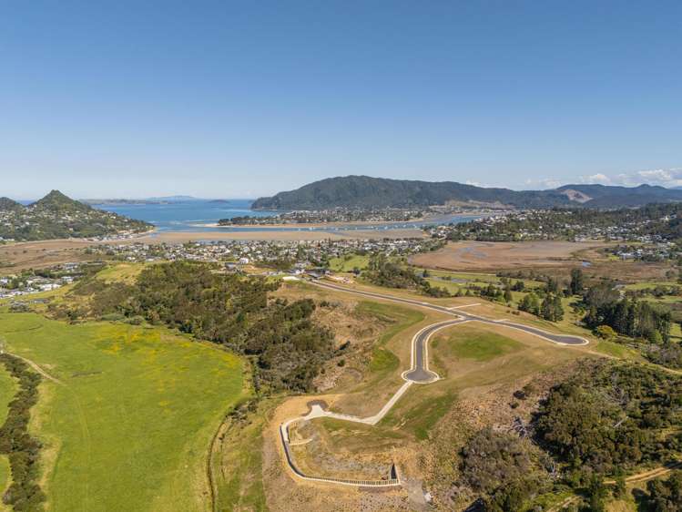 Pepe Ridge subdivison Tairua_7