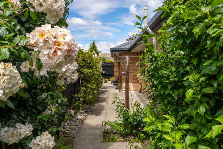 10 New Renwick Road Redwoodtown_3