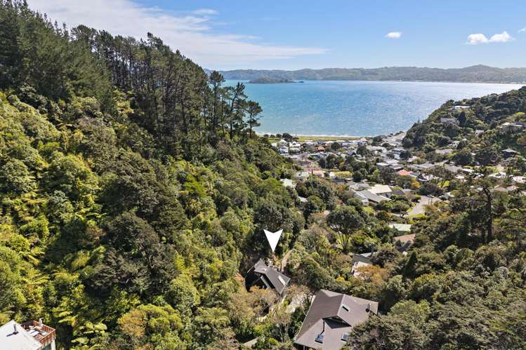 18 Marama Terrace Eastbourne_12