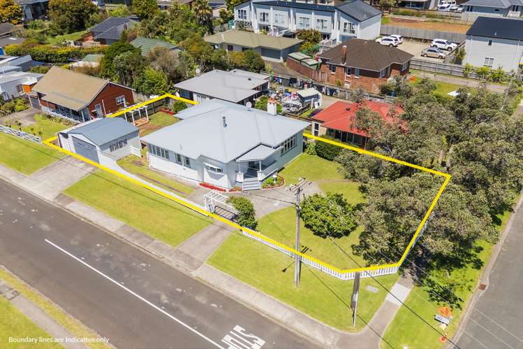 106 Astley Avenue New Lynn_27