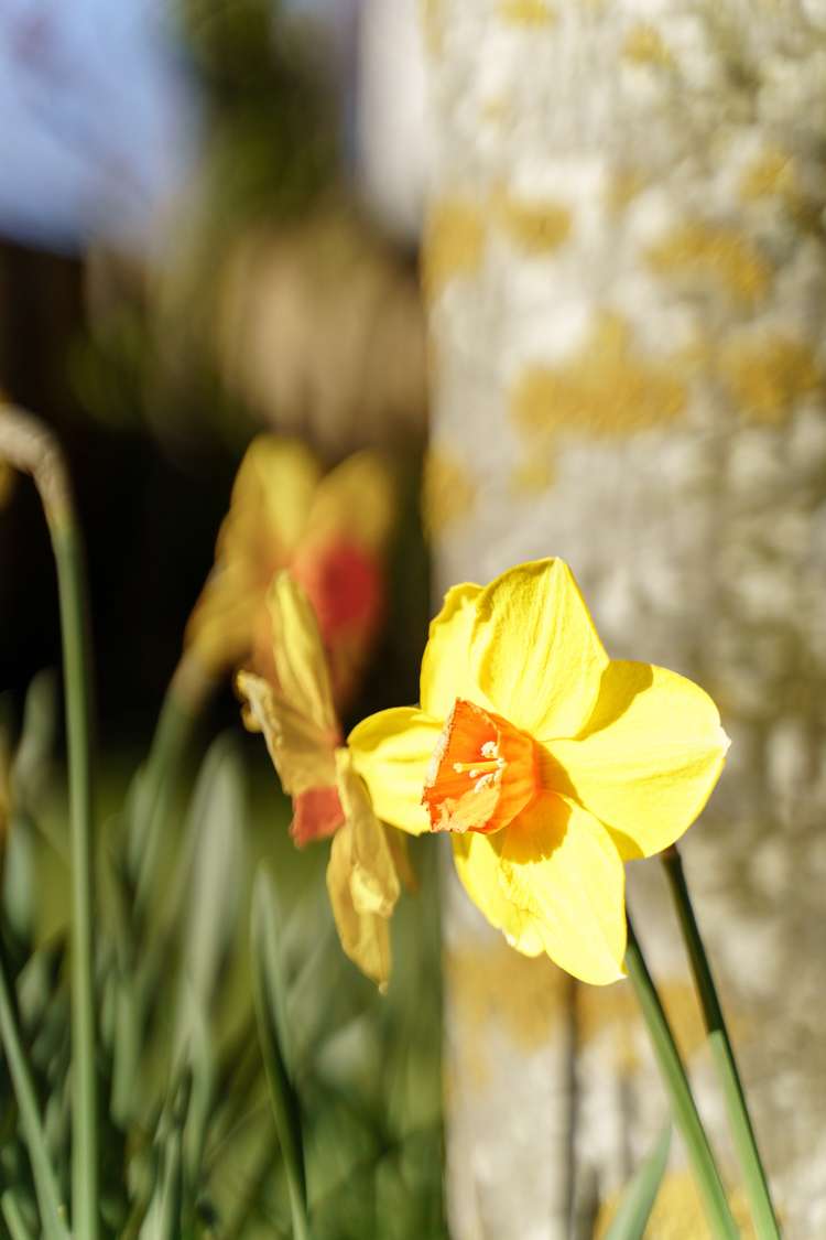 5 Hampstead Lane Prebbleton_25