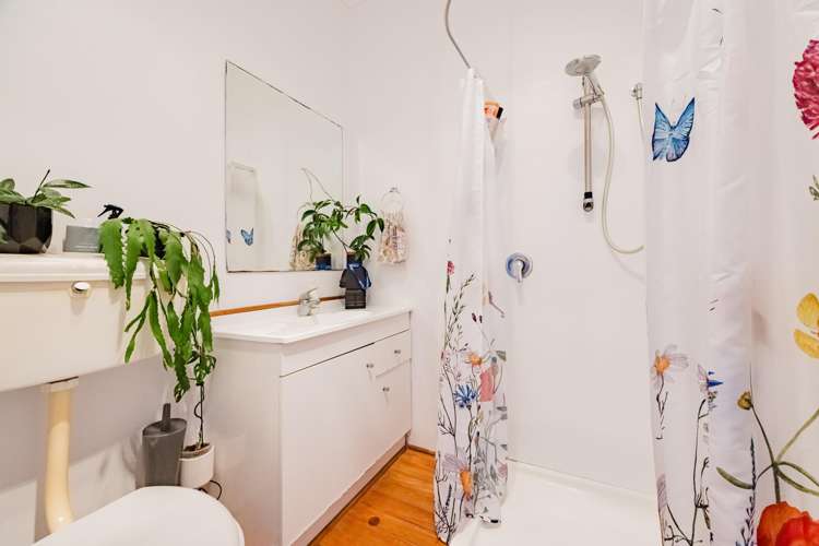 173 Georges Drive Napier South_10