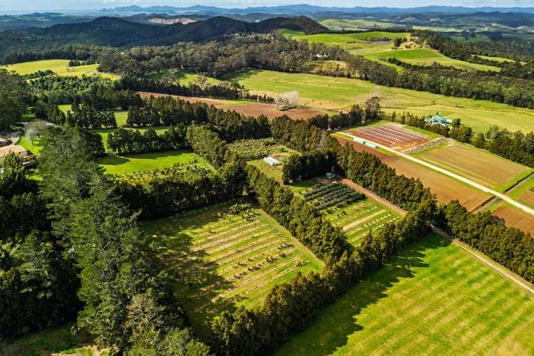 1244A State Highway 10 Kerikeri_7