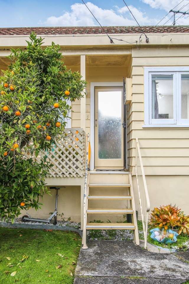 78 Summer Street Ponsonby_2