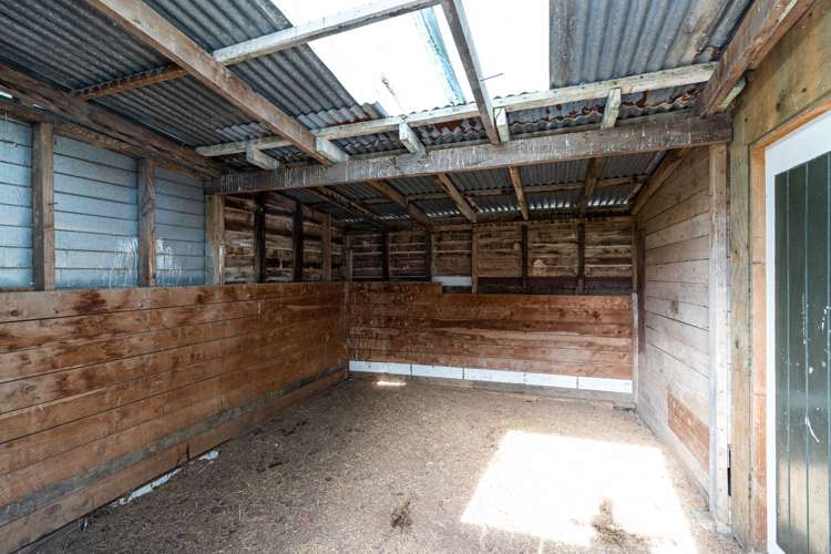 19 River Road Ashhurst_24