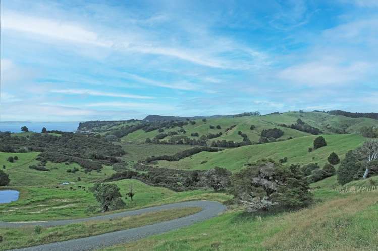 88 Ngarewa Drive Mahurangi West_5