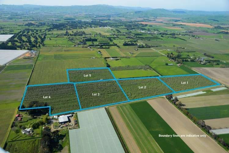 Ngatarawa Road Bridge Pa_6