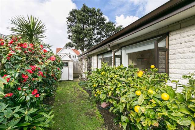 213 Sutherland Road Lyall Bay_1