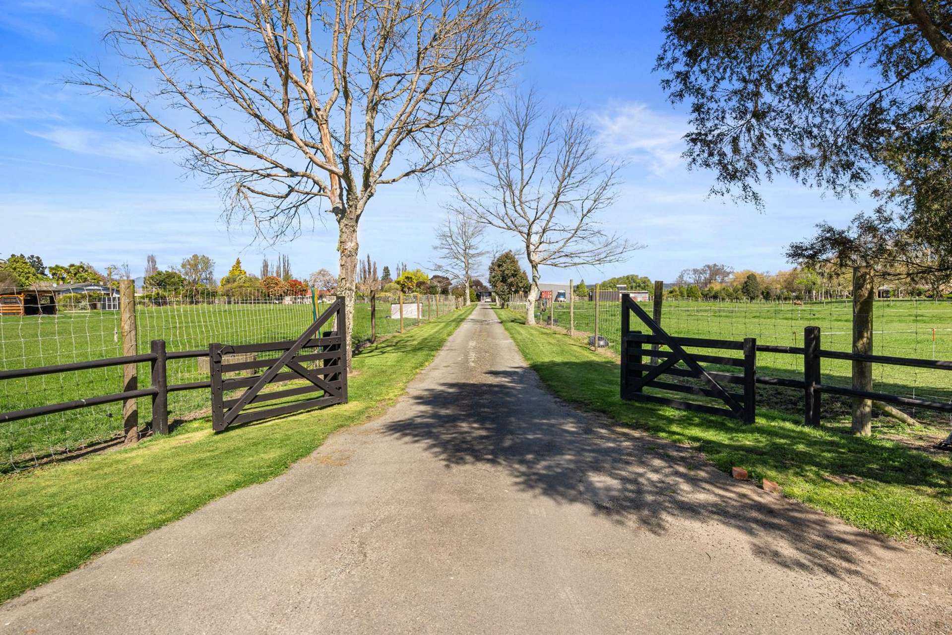 809 Lower Queen Street Richmond_0