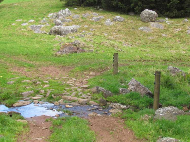 Tremain Road Ruatangata West_20