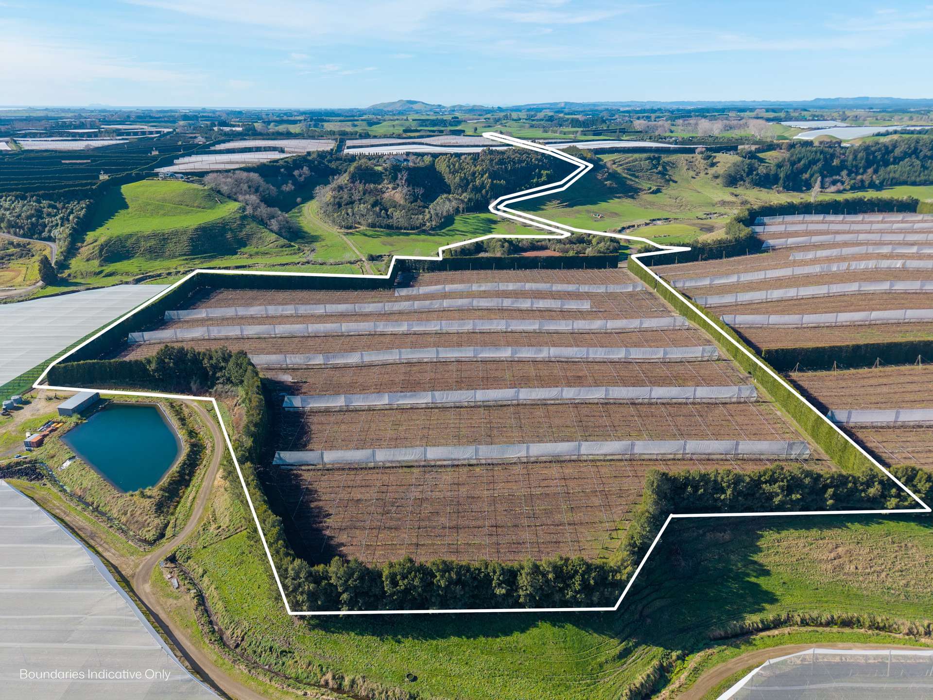 80 Roydon Downs Road Paengaroa_0