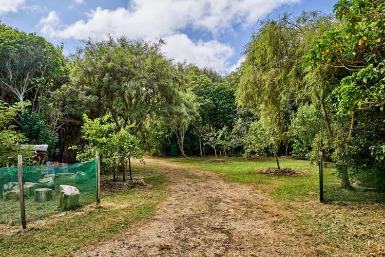 1119 Moonshine Road Judgeford_24