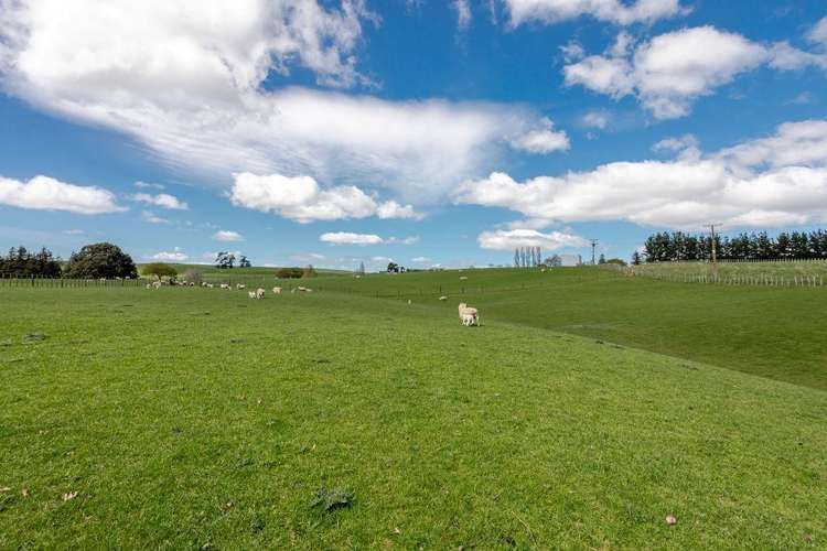 680 Cowper Road Dannevirke_19