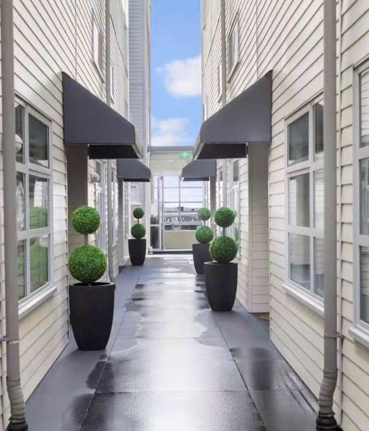 25l George Street Mount Eden_6