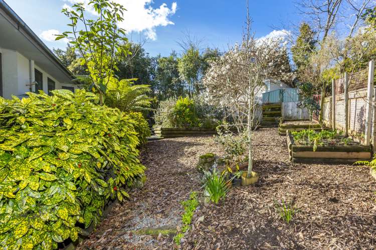 1282b Fergusson Drive Brown Owl_22