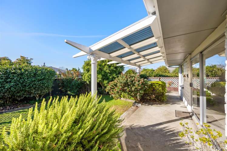 119a Maxwell Road Blenheim Central_12