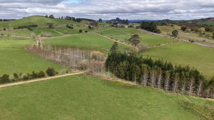1698 State Highway 10 Totara North_15