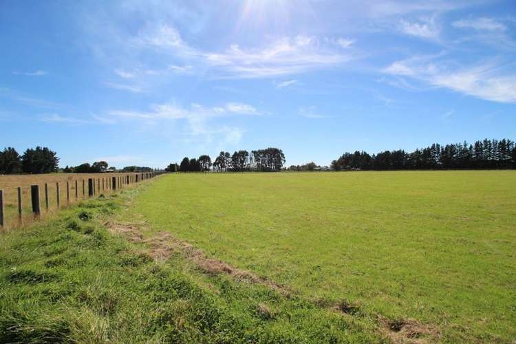 112 Calico Line Marton_67