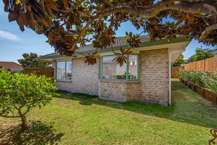 197c Captain Springs Road Onehunga_17
