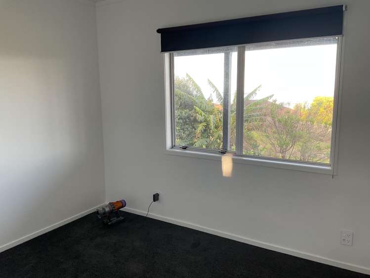 221 Schollum Road Matakana_8