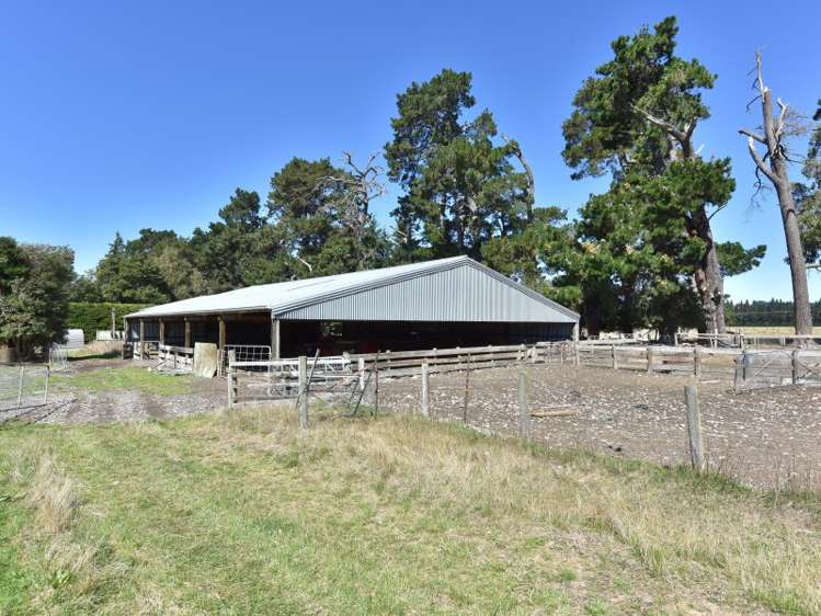 787 Birch Hill Road Okuku_11