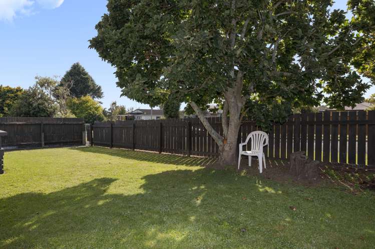 10a George Street Te Puke_12