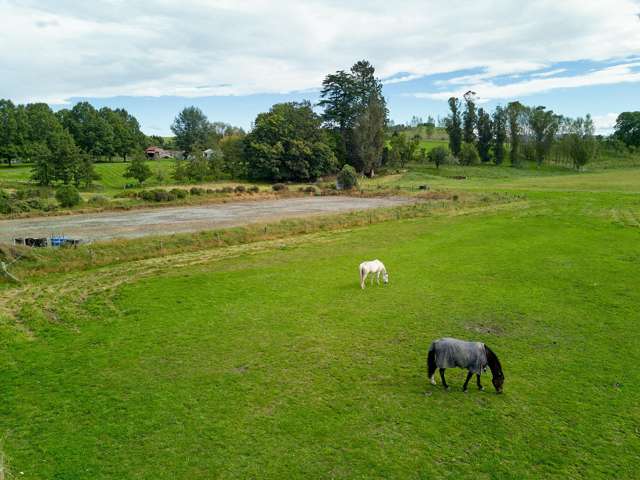 825 Opihi Road Pleasant Point_2