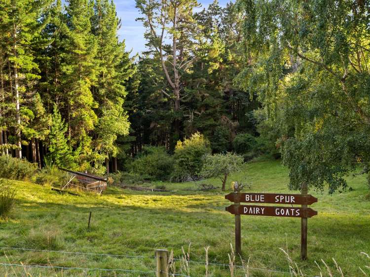 353 Blue Spur Road Lawrence_7