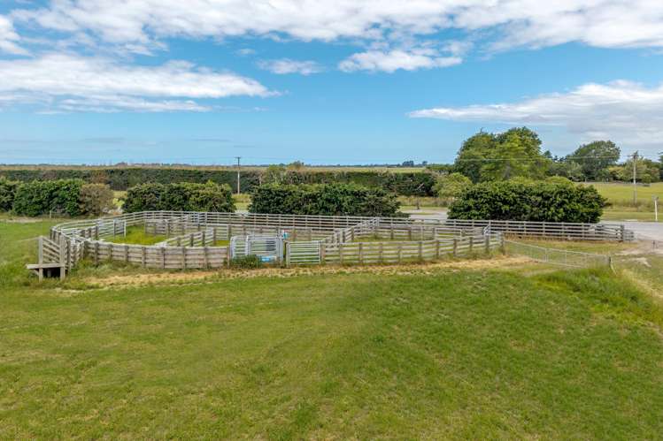 308 Arowhenua Road Timaru_3