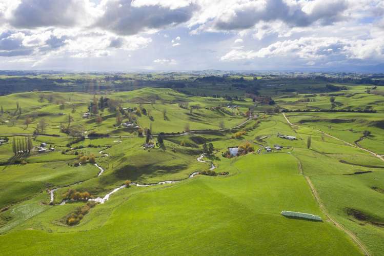 Piakonui Road Richmond Downs_25