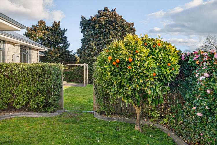 15 Grace Avenue Leamington_16