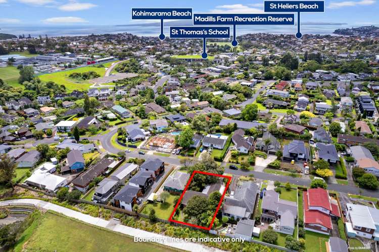 43 Whytehead Crescent Saint Heliers_15