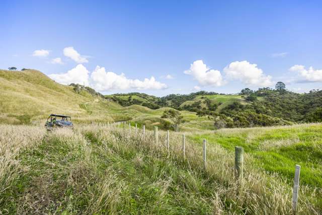 2368 Wairamarama Onewhero Road Glen Murray_2