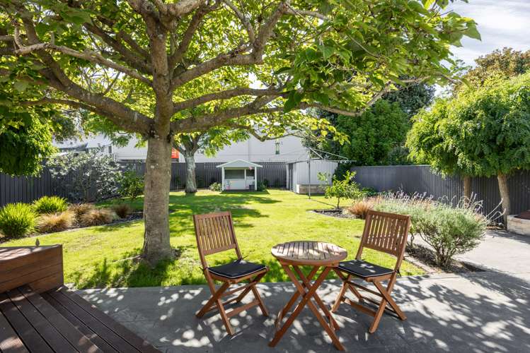 127 Vigor Brown Street Napier South_15