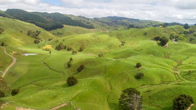 1791 Whangaehu Valley Road Whangaehu Valley_2