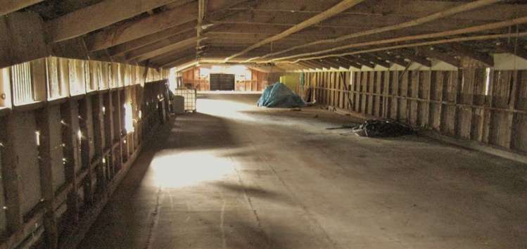 855 Tram Road Ohoka_18