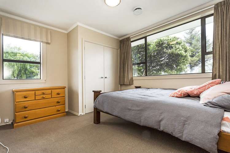 11 Vampire Road Waldronville_6