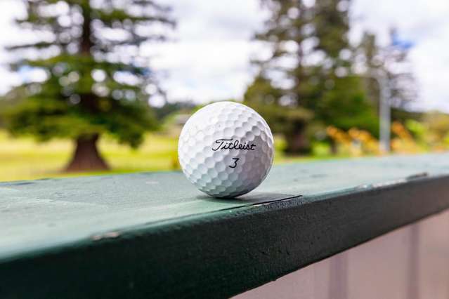If You Like Golfing, You Will Love This!