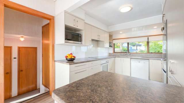 401 Millington Place Thames_1