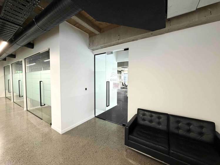 22 Dundonald Street Eden Terrace_8