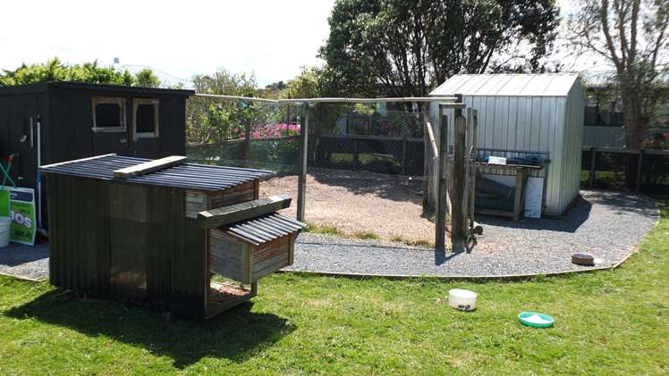 154a Awakino Road Dargaville_18