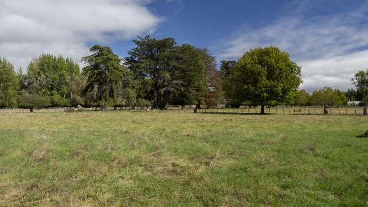 Cross Line Greytown_8