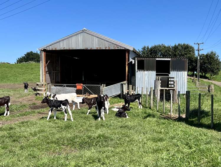 149 Paerewa Road Waverley_13