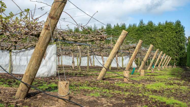 9765 State Highway 2 Waihi_16