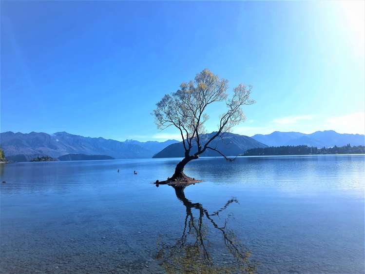 106a Kings Drive Wanaka_26