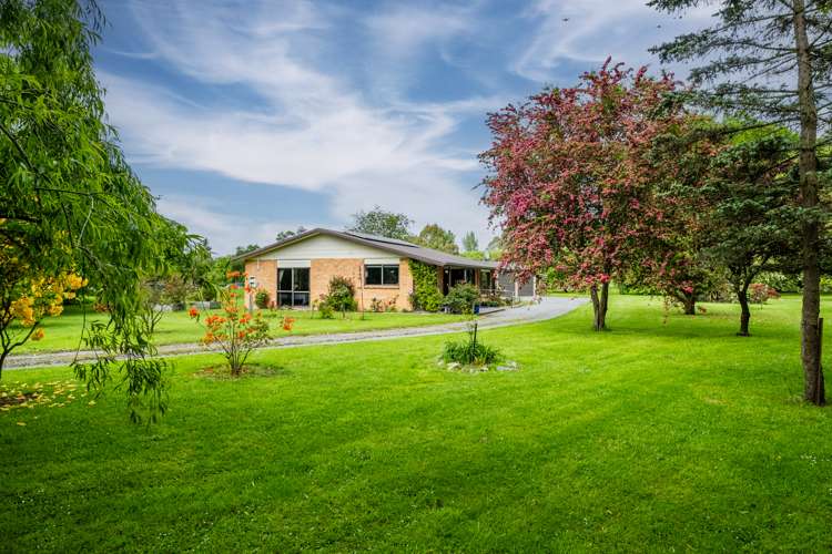 278 Talbot Street Geraldine_21