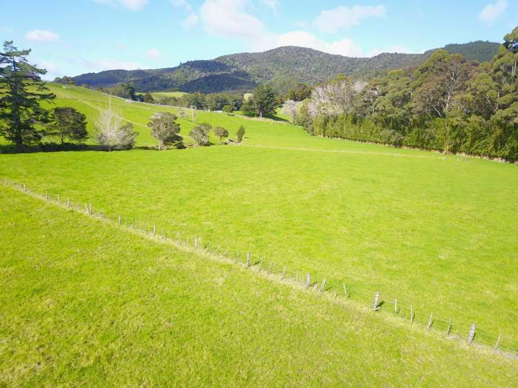 Larmer Road Kaitaia_7